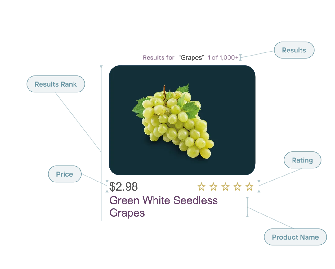 List-of-Data-Fields`